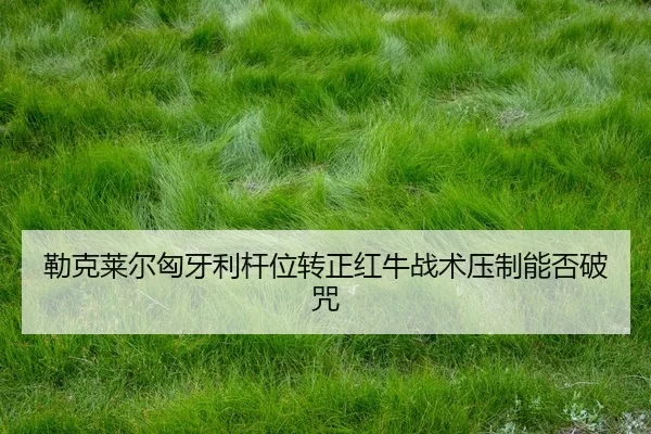 lei-ke-lai-er-xiong-ya-li-gan-wei-zhuan-zheng-hong-niu-zhan-shu-ya-zhi-neng-fou-po-zhou-2-783.jpg